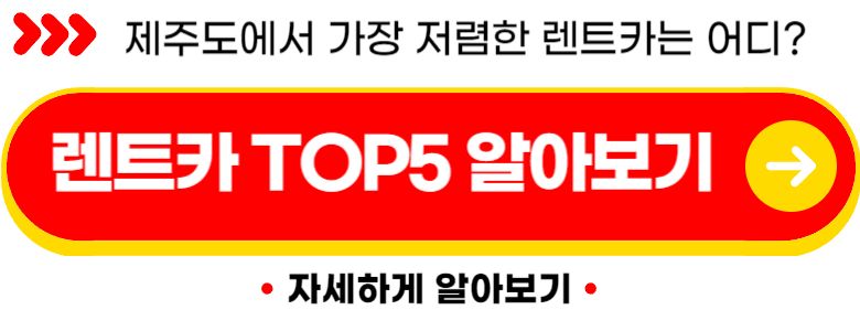 제주도 가볼만한곳 순위 추천 박물관 베스트10